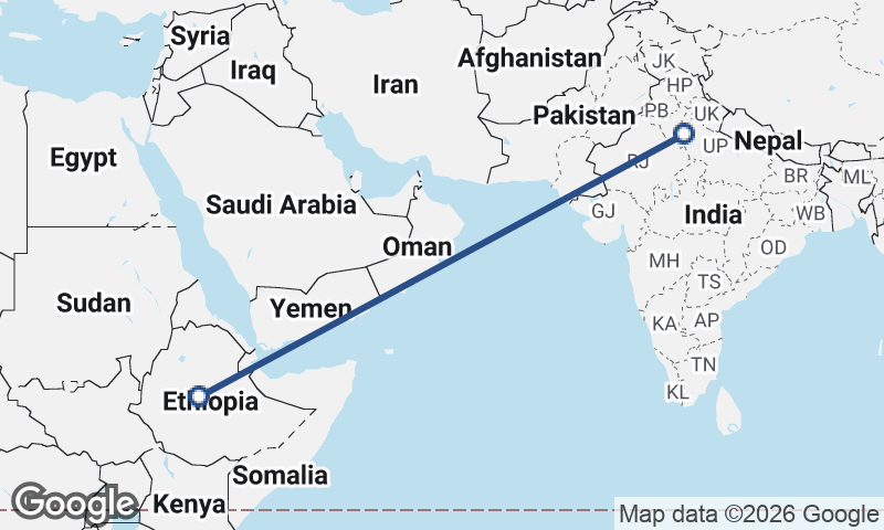 Delhi to Addis Ababa